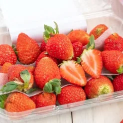 Family Japanese Strawberry