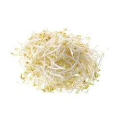 Truong Phat Vietgap raw bean sprouts