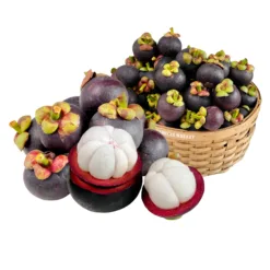 Vietnam Mangosteen